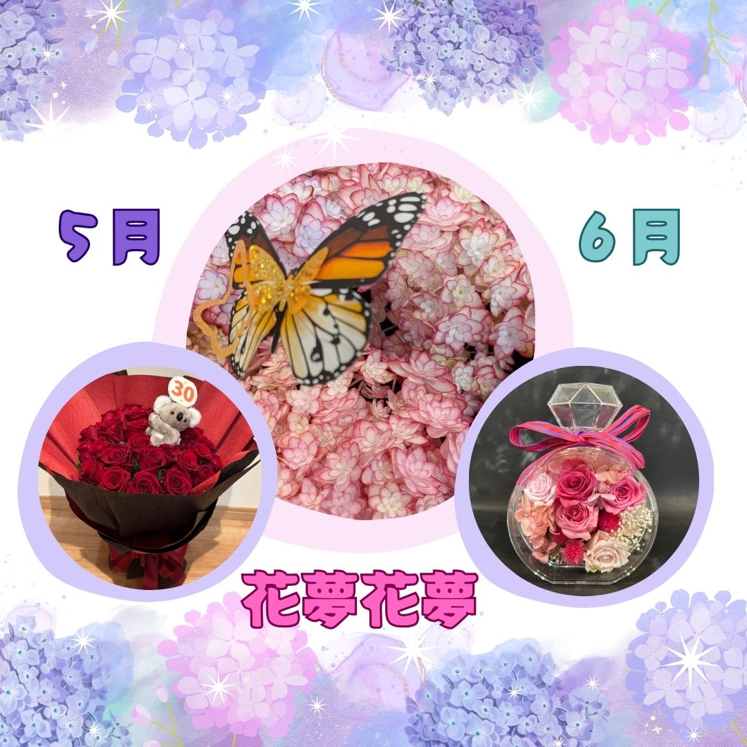 アジサイ
